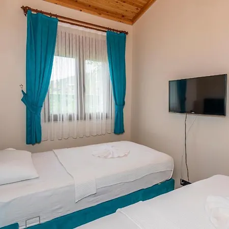 Cemre - 2 Bedroom In Kayakoey Oeluedeniz Villa