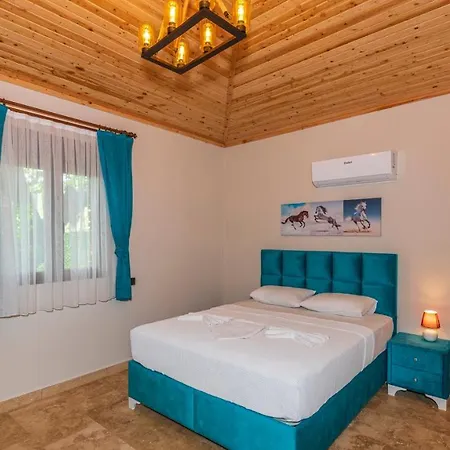 Villa Cemre - 2 Bedroom In Kayakoey Oeluedeniz