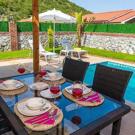 Cemre - 2 Bedroom In Kayakoey Oeluedeniz Villa *